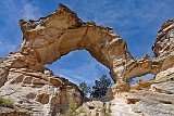 USA inchworm arch.jpg